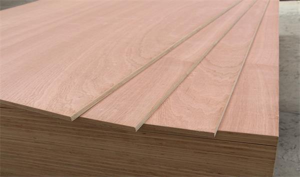 Sapele faced plywood