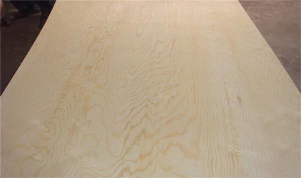 Phenolic plywood