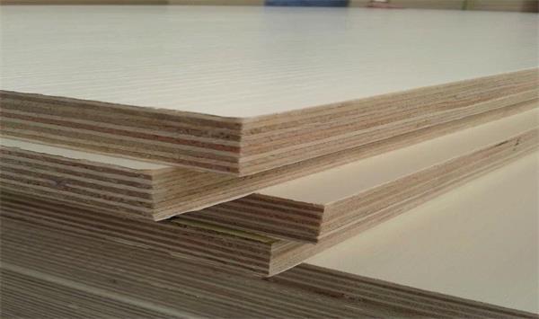 Poplar plywood