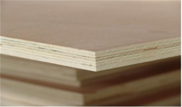 Poplar core plywood