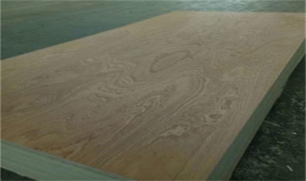 25×1530×3100MM plywood