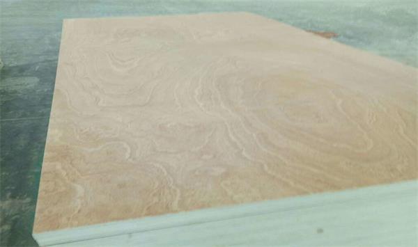 30×1530×3100MM plywood